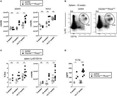 Clec9a-Mediated Ablation of Conventional Dendritic Cells Suggests a Lymphoid Path to Generating Dendritic Cells In Vivo